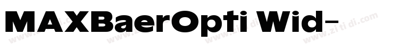 MAXBaerOpti Wid字体转换